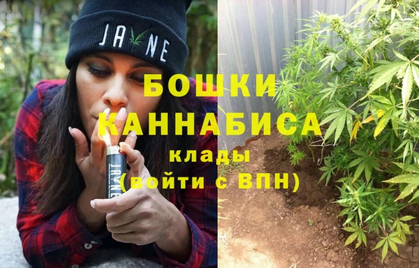 синтетический гашиш Новодвинск