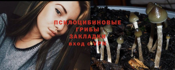 кокаин Новозыбков