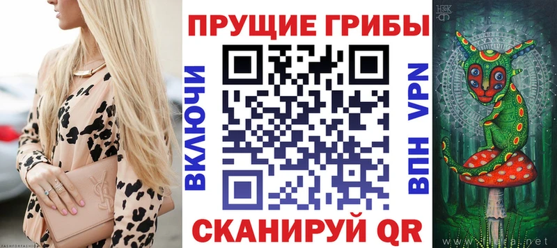 Галлюциногенные грибы ЛСД  ОМГ ОМГ зеркало  даркнет как зайти  Ангарск 