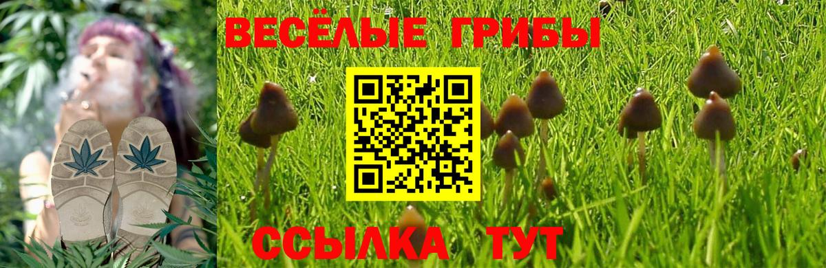 Галлюциногенные грибы MAGIC MUSHROOMS  Вход с VPN  Ангарск 
